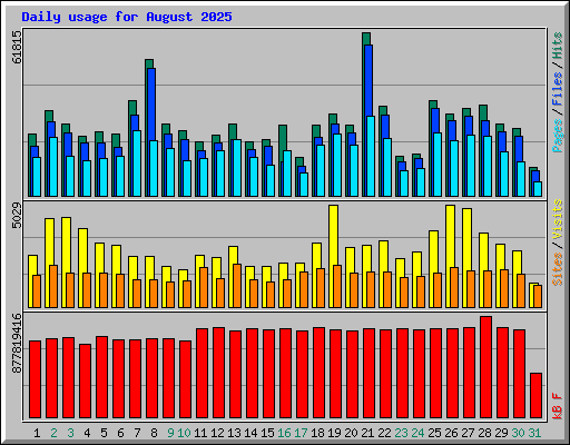 Daily usage for August 2025