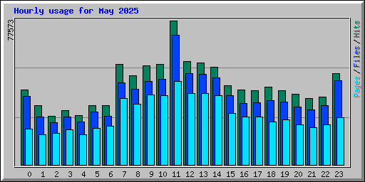 Hourly usage for May 2025