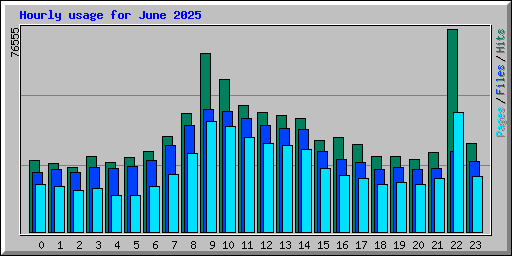 Hourly usage for June 2025