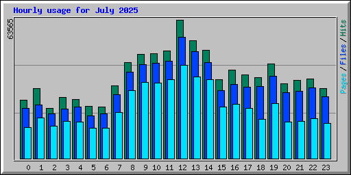 Hourly usage for July 2025