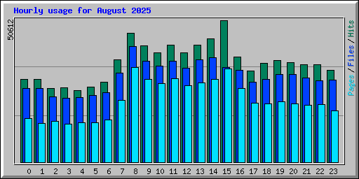 Hourly usage for August 2025