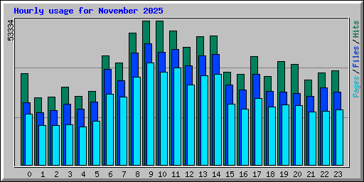 Hourly usage for November 2025