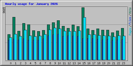 Hourly usage for January 2026