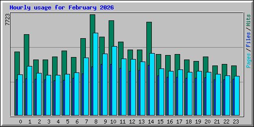 Hourly usage for February 2026