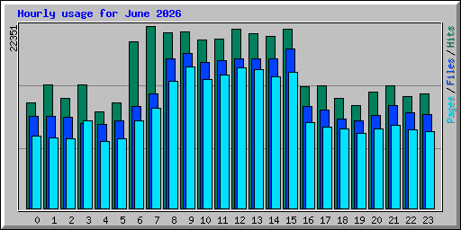 Hourly usage for June 2026