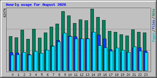 Hourly usage for August 2026