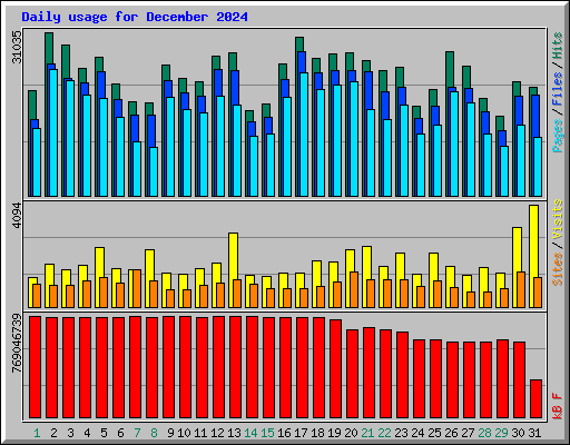 Daily usage for December 2024