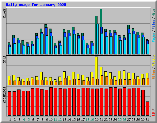 Daily usage for January 2025