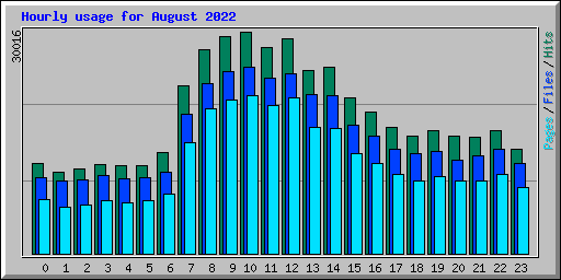 Hourly usage for August 2022