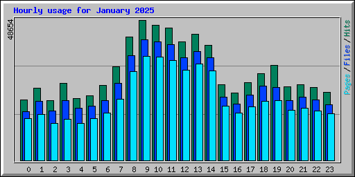 Hourly usage for January 2025